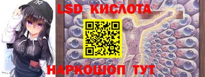 крисы Боровичи