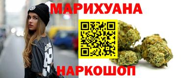 крисы Боровичи