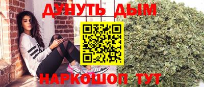 крисы Боровичи